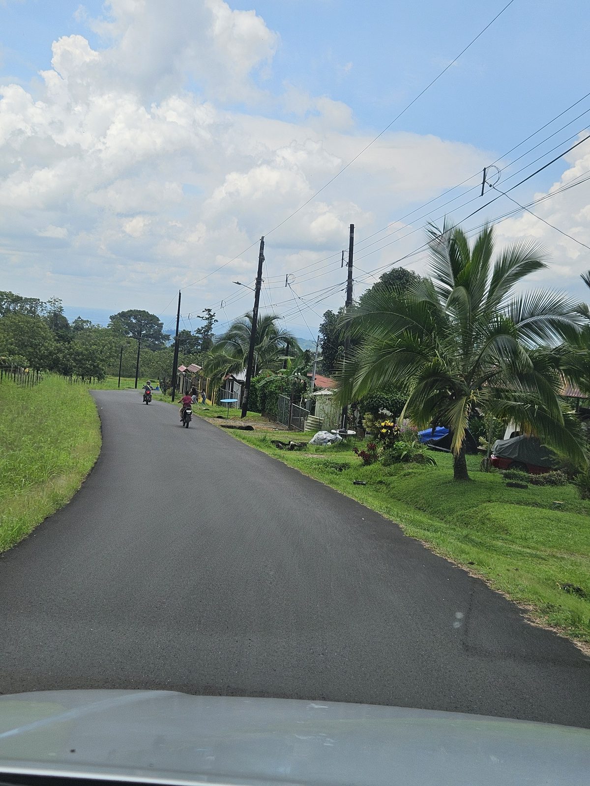 ASADA Calle Damas Integral Diagnosis — San Carlos