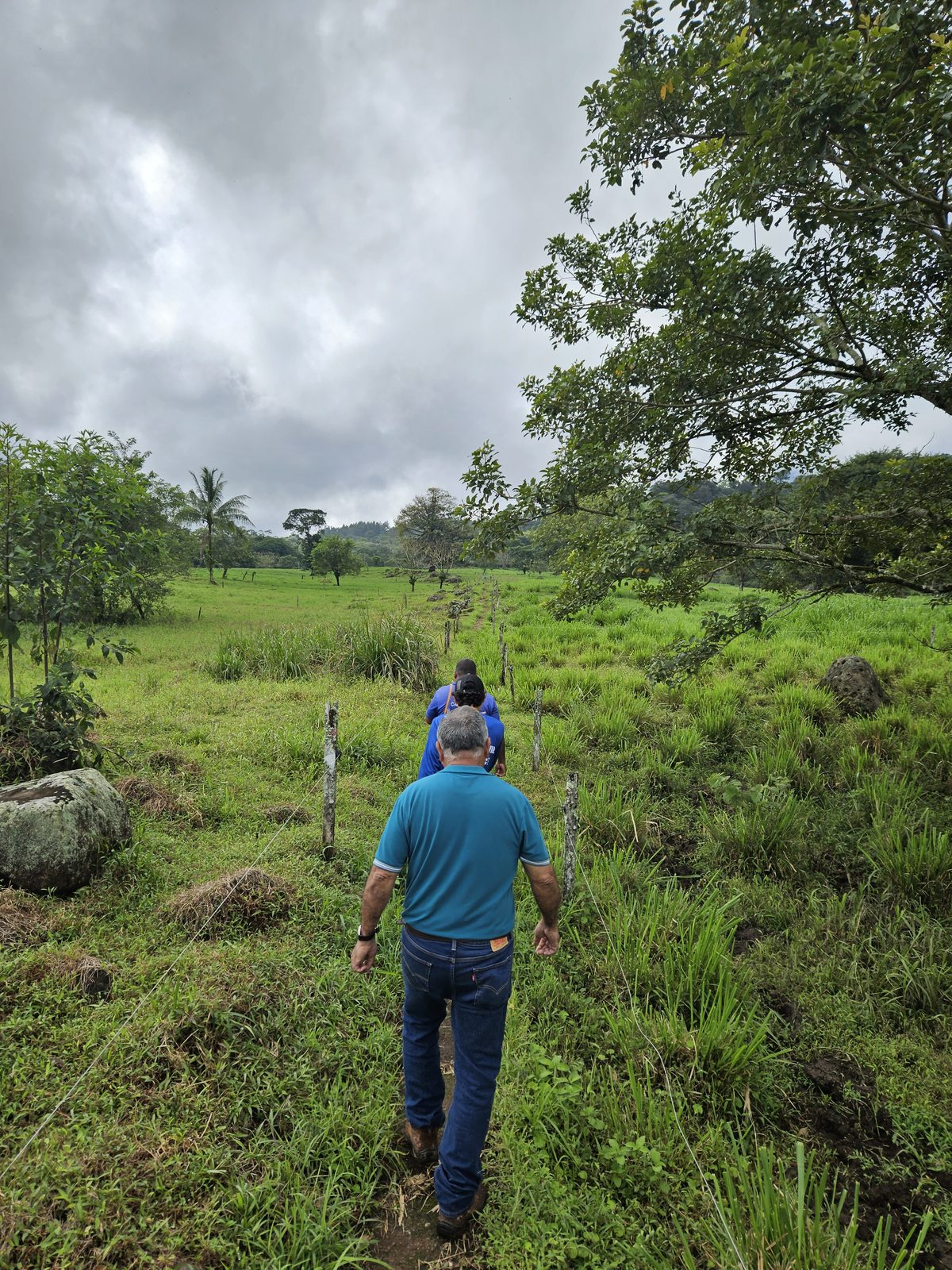 ASADA Calle Damas Integral Diagnosis — San Carlos