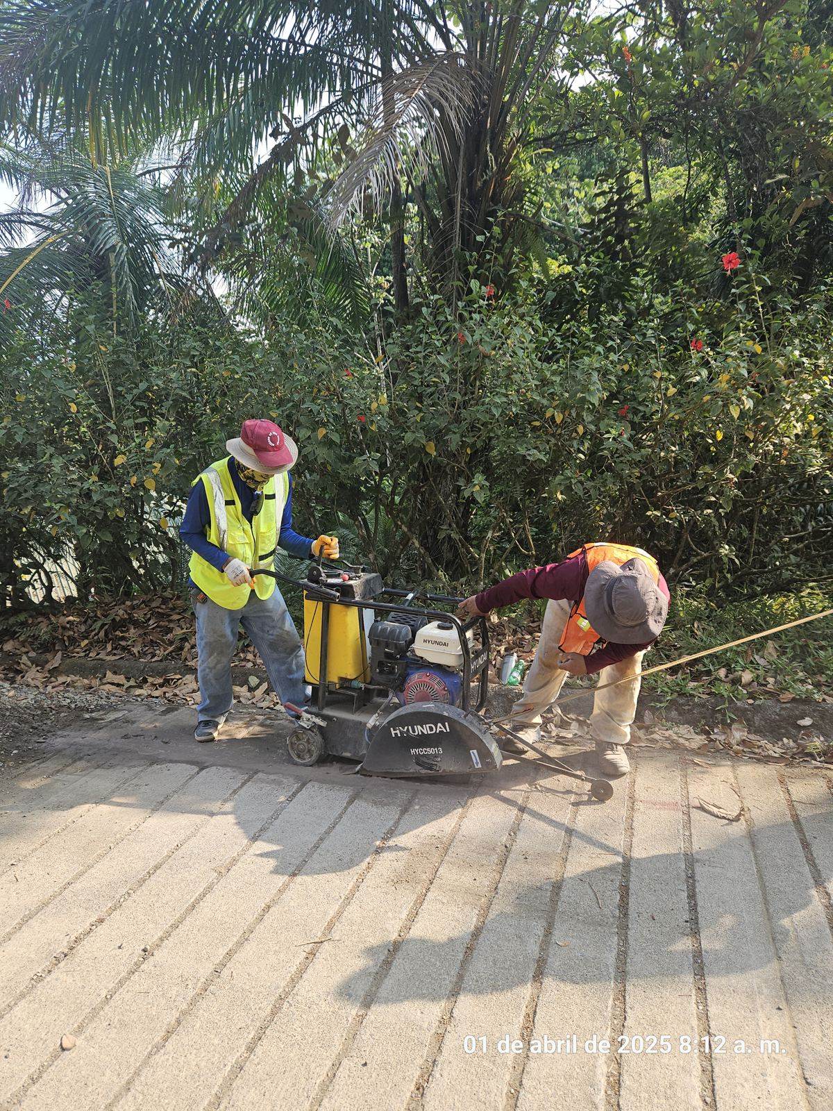 Disponibilidad de agua potable