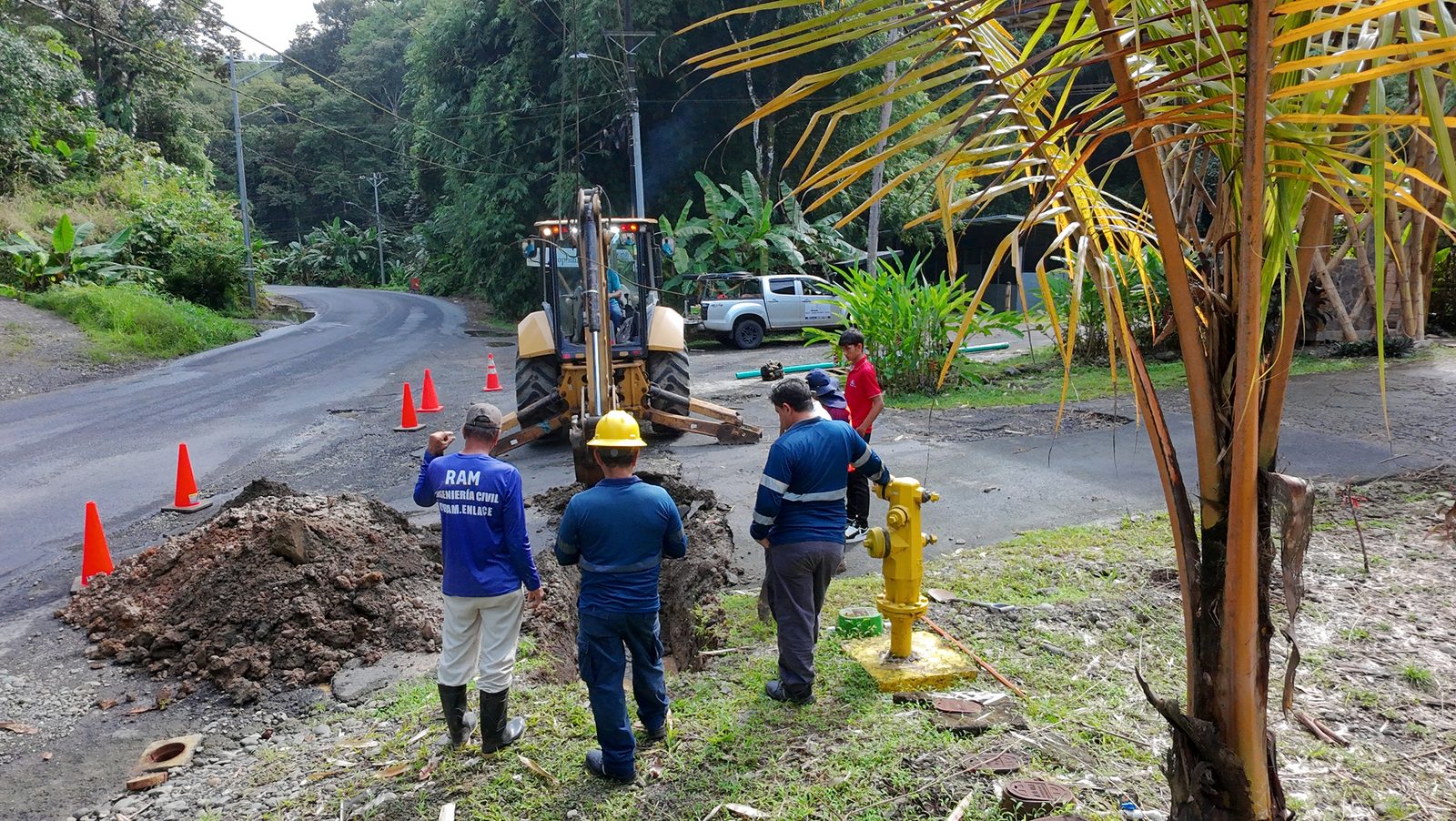 Palmas Pacífica — Quepos
