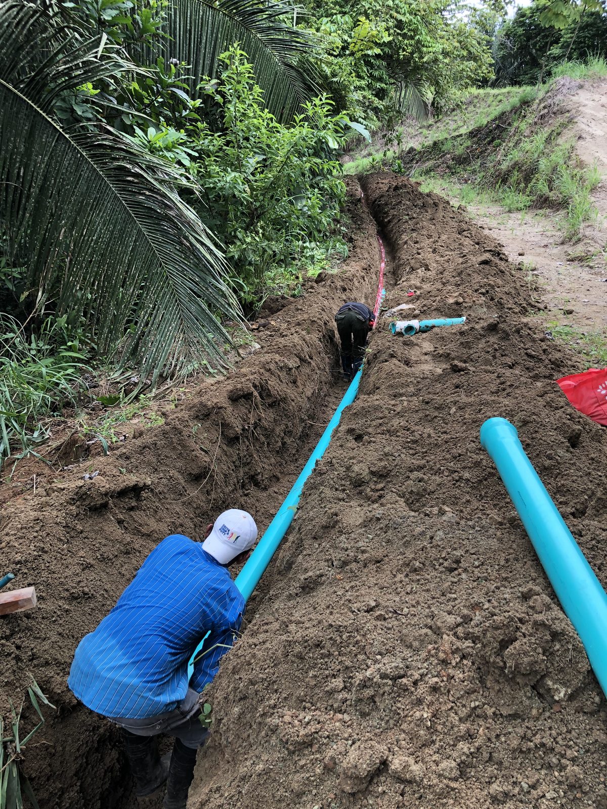 Palmas Pacífica — Quepos — 5